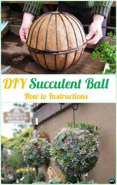 gardening ideas diy hanging succulent ball sphere planter instruction- diy indoor succulent garden CTNEFMI