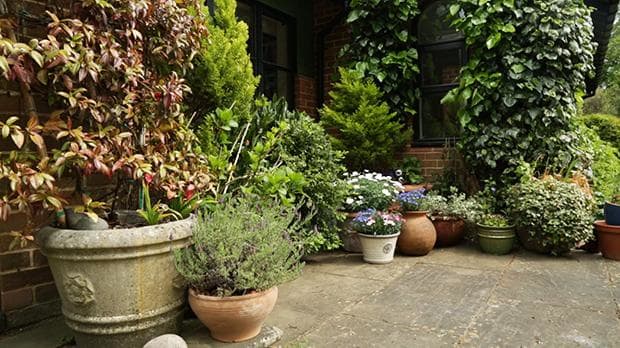 gardening inspiration: how to style a patio garden | the telegraph ZYGWKAW