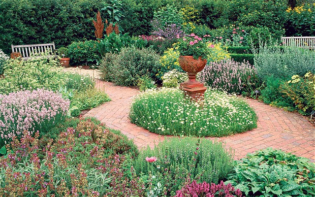 herb gardens barbara segall answers common questions on the cultivation of herbs with OFRPTKT
