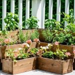 herb gardens tiered outdoor herb garden- one time use only blogger image GXYPAEO