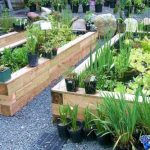 home garden ideas with outdoor pond OTEIRNK
