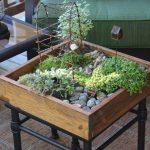 indoor garden ideas mini-indoor-gardening-1 AHYJQXI