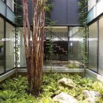 indoor gardens best of interior gardens modern home ideas indoor garden design ideas indoor SREZIAC