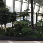 indoor gardens sky garden: some of the plants in the indoor garden YQRRRSD