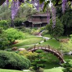 japanese garden press-2012-japanese-before OZGHFXE