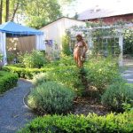 la belle epoque: backyard garden at the le petit maison DPLTXWZ