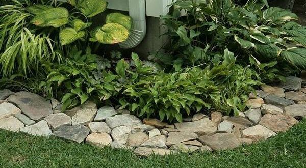 The Landscape Edging Ideas You can explore for Your Design – Decorifusta