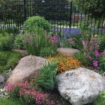 landscaping with rocks mix large rocks with flowers in beds. CLXRQCJ