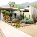 modern gardens in mid-century gardens, a scattering of shrubs was low maintenance yet XNZBASM