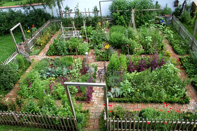 nice kitchen garden in austria - flowers-plants-planters YLAGDFV