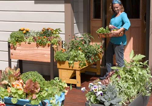 patio garden fresh food at your doorstep ESFPRLY