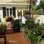 patio garden grow a container vegetable garden on your patio: tips SLYFMIS