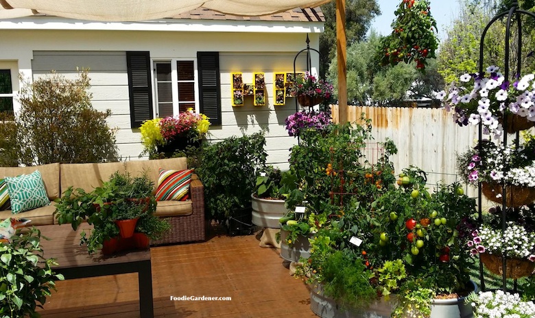 patio garden grow a container vegetable garden on your patio: tips SLYFMIS