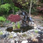 picture of backyard pond and waterfall: no experience necessary! TFBUNBM