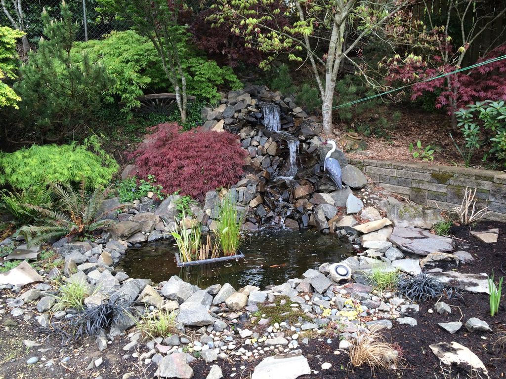 picture of backyard pond and waterfall: no experience necessary! TFBUNBM