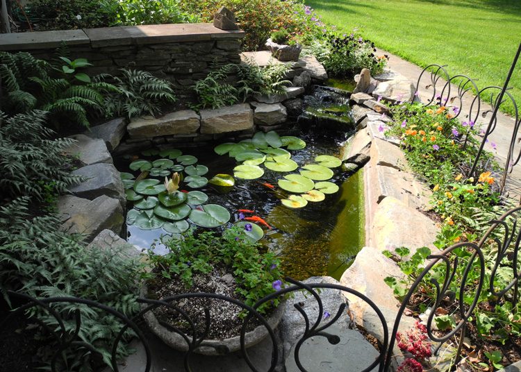 pond design and water features by aquareale DGMNNUW