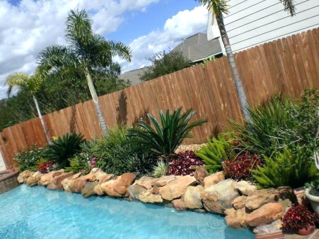 pool landscaping ideas accent plants for pool landscaping PCOWWPI