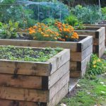 raised bed gardening 14 reasons why raised beds are the best way to garden ROEJBPX