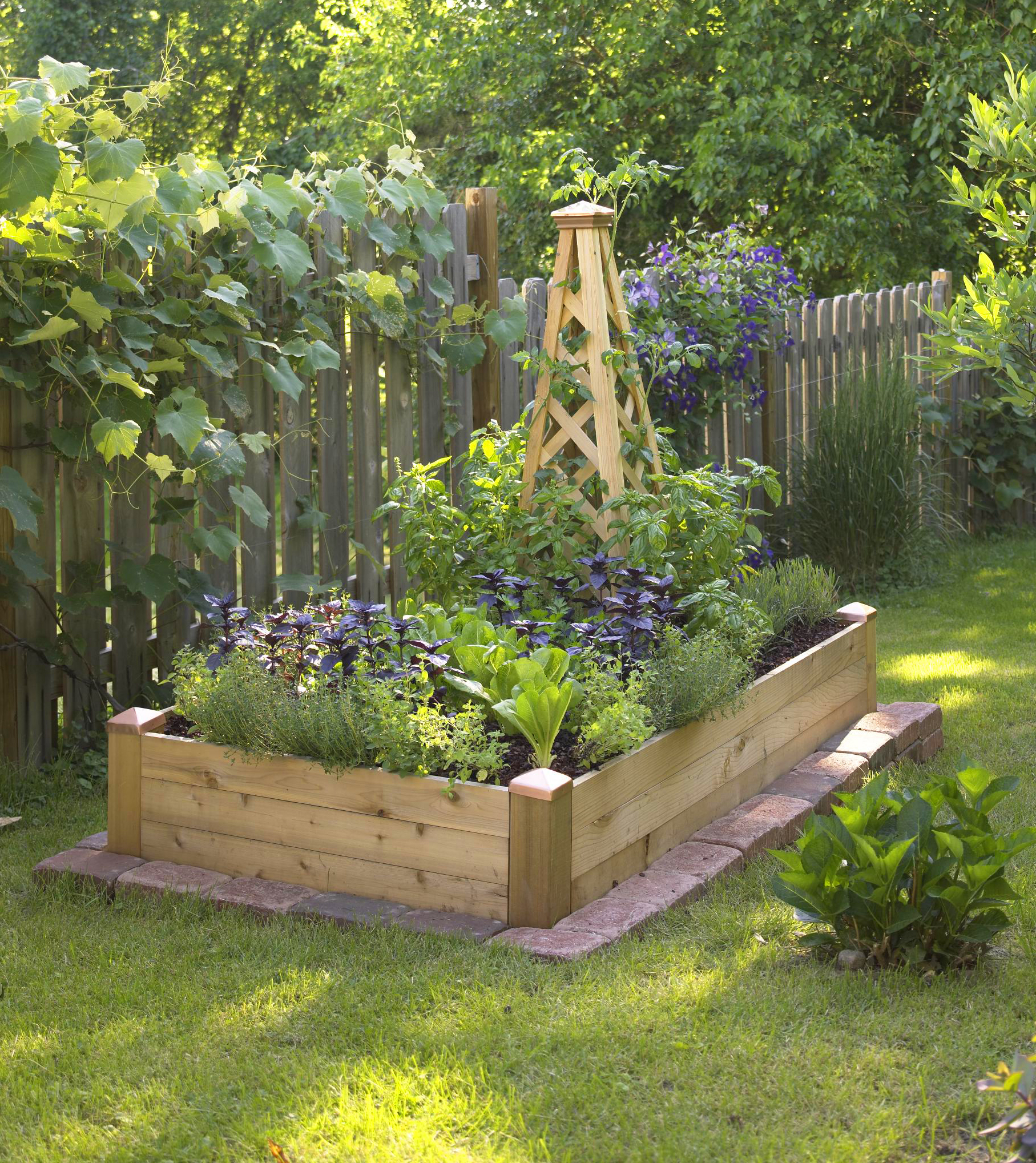 raised bed gardening a wood obelisk provides space for climbing plants in a 3x6-foot raised ABXMSZR