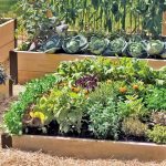 raised bed gardening raised beds used to make a kitchen garden EKMDIRN