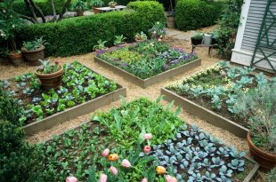 raised bed gardens 15 raised garden bed ideas | hgtv DPESSAR