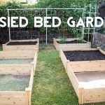 raised bed gardens raised bed gardening - how to start a garden with raised beds CQVNLIU