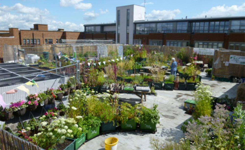 roof garden supermarket rooftop gardens: an exercise in community building? JVULKUJ