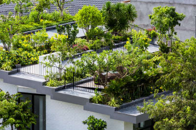 roof garden vo trong nghia architects, hiroyuki oki · mr. hoanu0027s hanging garden UYGKQFH