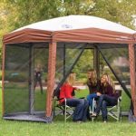 screened canopy coleman-foldable-screen-canopy OVDBSGJ