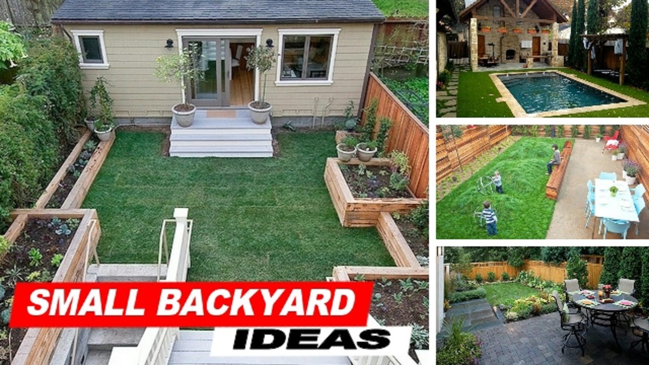 small backyard ideas with grass EHLVVJR