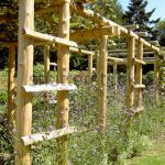 stylish garden trellises for your garden HZLPMSP