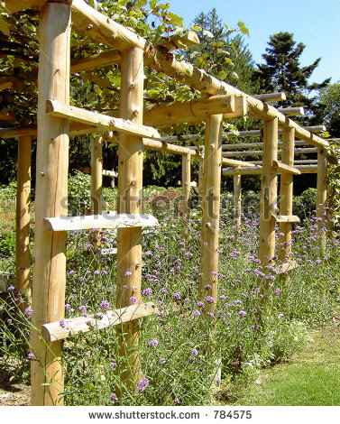 stylish garden trellises for your garden HZLPMSP