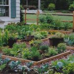 vegetable/cutting/herb gardens KIJTOGX