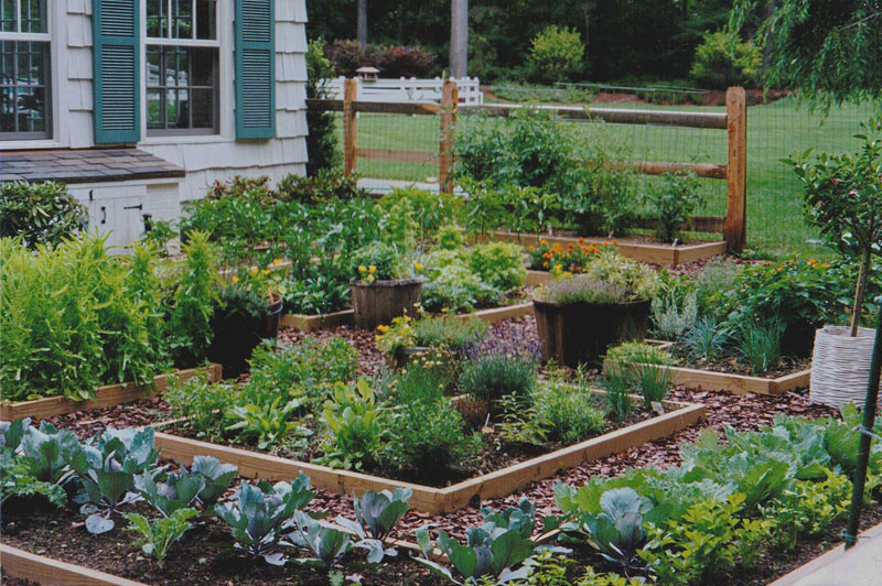 vegetable/cutting/herb gardens KIJTOGX