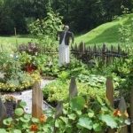 vegetable garden design: how to design vegetable gardens VRCWUOI