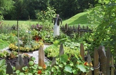 vegetable garden design: how to design vegetable gardens VRCWUOI