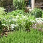 vegetable garden design how to plan a vegetable garden: design your best garden layout ZDPBQBI