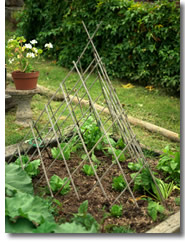 vegetable garden design ornmental teepee trellis in a garden design CNALJBU