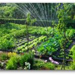 vegetable garden design watering a garden MWFVPFZ