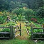vegetable garden design with wooden fence UCTHGQD