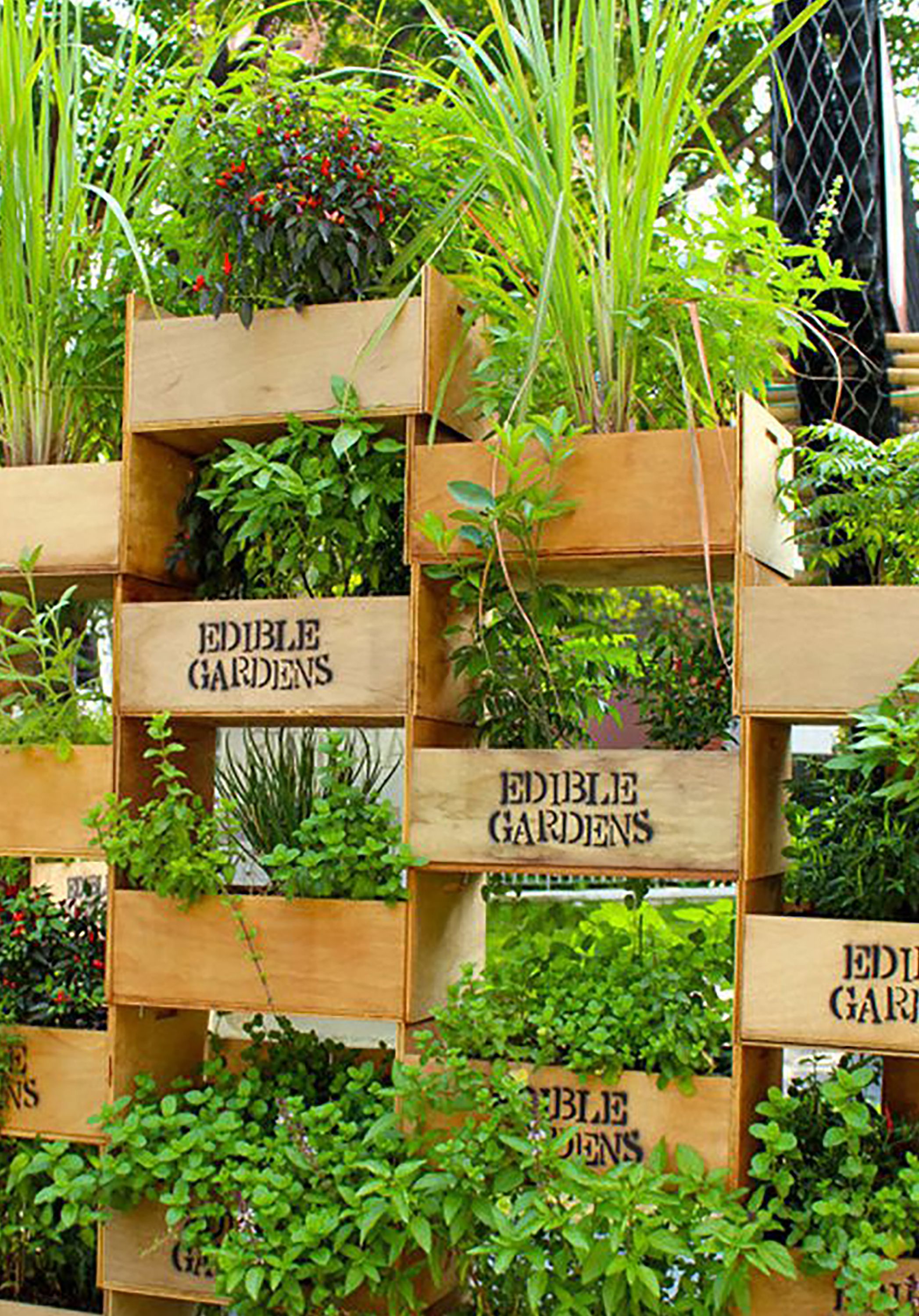 vertical garden ideas 26 creative ways to plant a vertical garden - how to make AEZIWZX