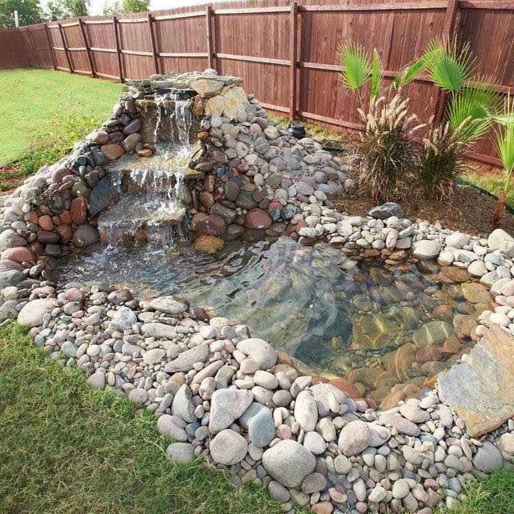 we know that a backyard pond with running water, floating plants and QXYLACN