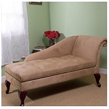 Amazon.com: Chaise Chair Lounge Sofa with Storage for Living Room or
