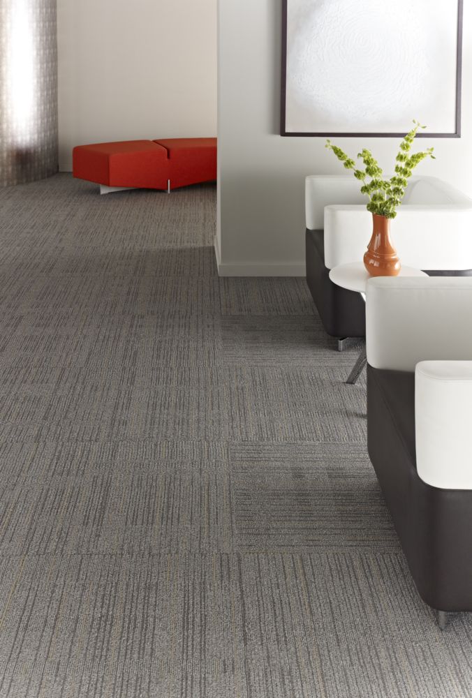 Immerse | J0187 | Philly Queen Commercial Carpet and Flooring