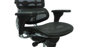 Ergohuman Mesh High Back Ergonomic Chair w/Headrest | OfficeChairs.com