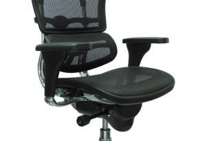 Ergohuman Mesh High Back Ergonomic Chair w/Headrest | OfficeChairs.com