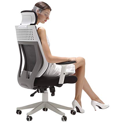 Amazon.com: Hbada Ergonomic Office Chair - High Back Adjustable Desk
