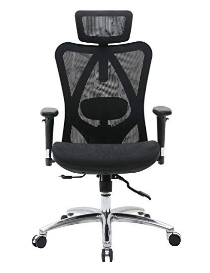 Amazon.com: Sihoo Ergonomic Office Chair, Computer Chair Desk Chair
