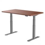 Amazon.com : Flexispot E6S-R5530N Height Adjustable Desk Frame