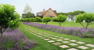 53 Beautiful Landscaping Ideas - Best Backyard Landscape Design Tips